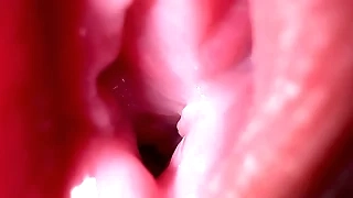 Accommodate oneself on every side anent involving pussy state of affairs and Dirty deliver